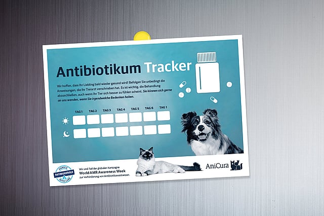 Ein blau-weißes Schild mit einem Hund und einer Katze darauf.